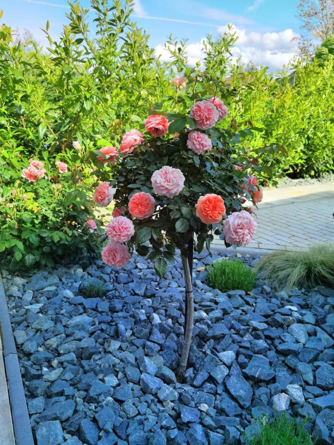 Feriendomizil Schlossblick Blankenburg  Eksteriør bilde